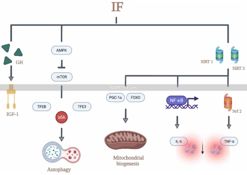 揭秘全球‘长寿之乡’饮食奥秘，告诉你百岁老人都吃啥