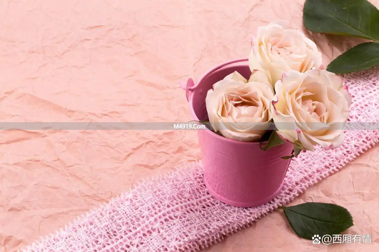 余生不长，别在不值得的人身上浪费爱，去珍惜真心待你的人