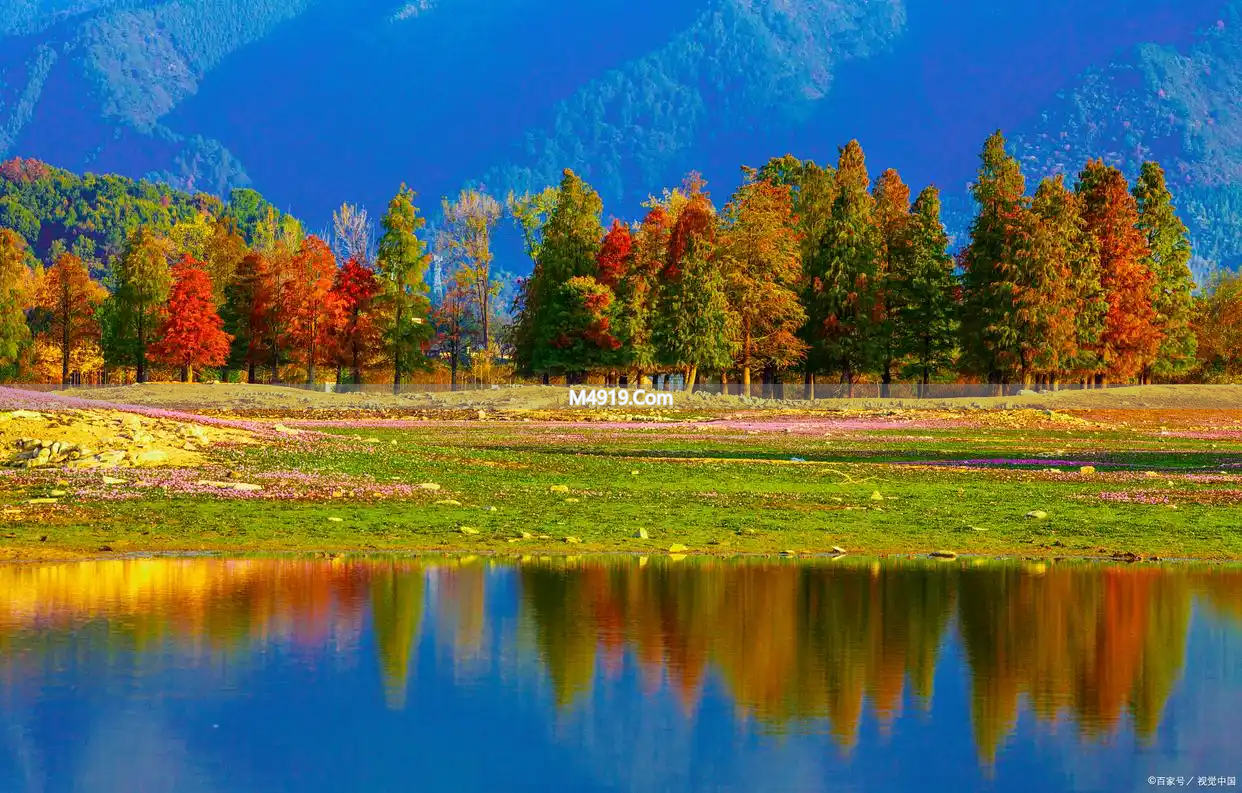 爱你到老不变，情深一世，哪怕无缘夫妻也是永恒念想