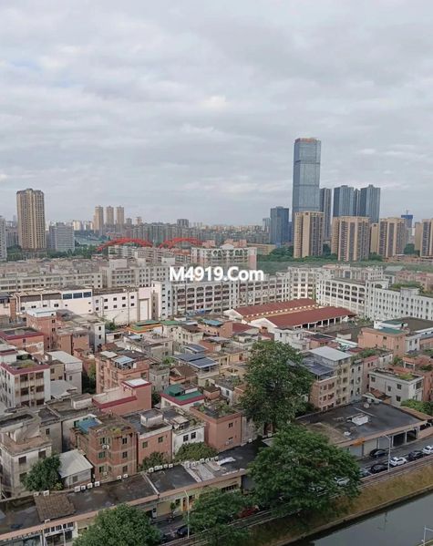 业主奇葩要求：物业赶鸟抓青蛙，真管不了