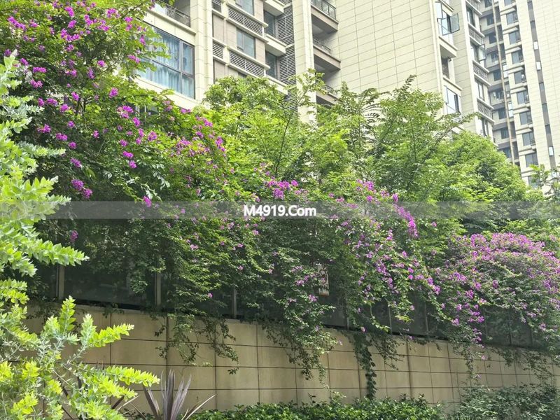 物业费业主_业主交物业费可以享受什么服务_