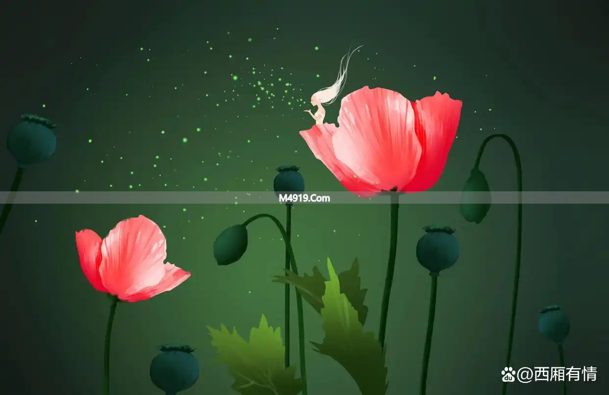 后半生要学会自爱，为自己活，别被生活压得喘不过气