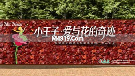 3.6-6.8上海奇迹花园，小王子主题花期，万株花卉绽放