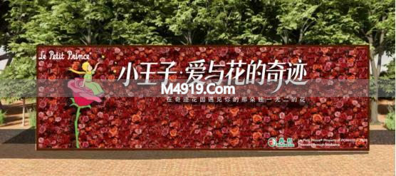 3.6-6.8上海奇迹花园，小王子主题花期，万株花卉绽放
