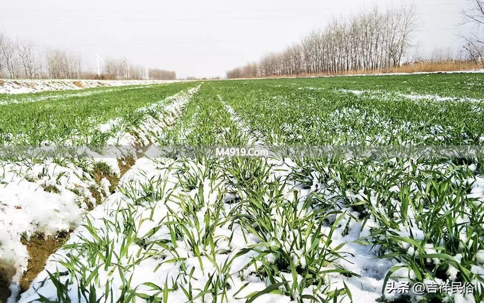 三九大晴天有啥预兆？寡妇为啥发愁？