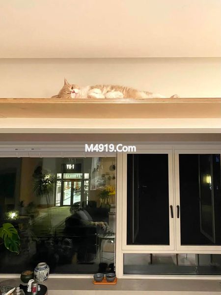 入住一年多了，父母还嫌弃的“反骨装修”，但年轻人却住得很爽！__入住一年多了，父母还嫌弃的“反骨装修”，但年轻人却住得很爽！