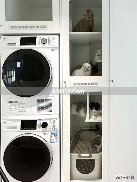 租的房让朋友住违法吗__重庆有猫的民宿