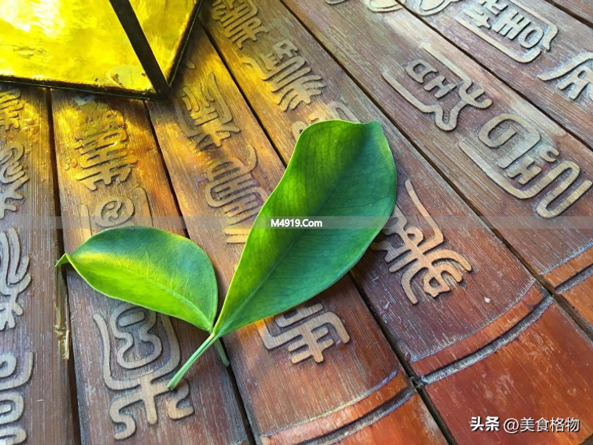 人到中年爱琢磨命？老祖宗这人生影响因素榜值得看