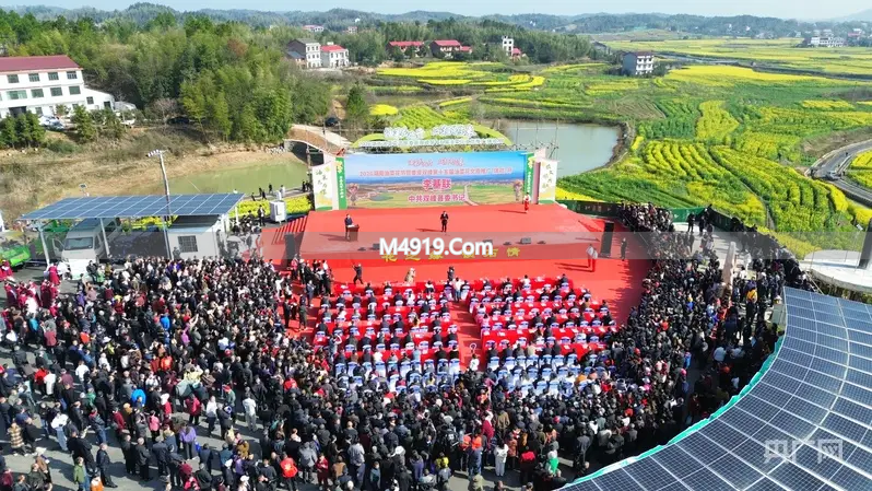 2026湖南油菜花节双峰分会场开幕，亮点多多等你来玩