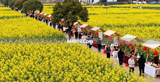 2026湖南油菜花节双峰分会场开幕，亮点多多等你来玩