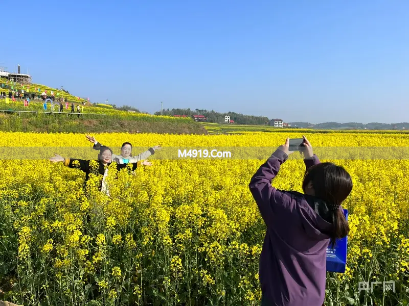 2026湖南油菜花节双峰分会场开幕，亮点多多等你来玩
