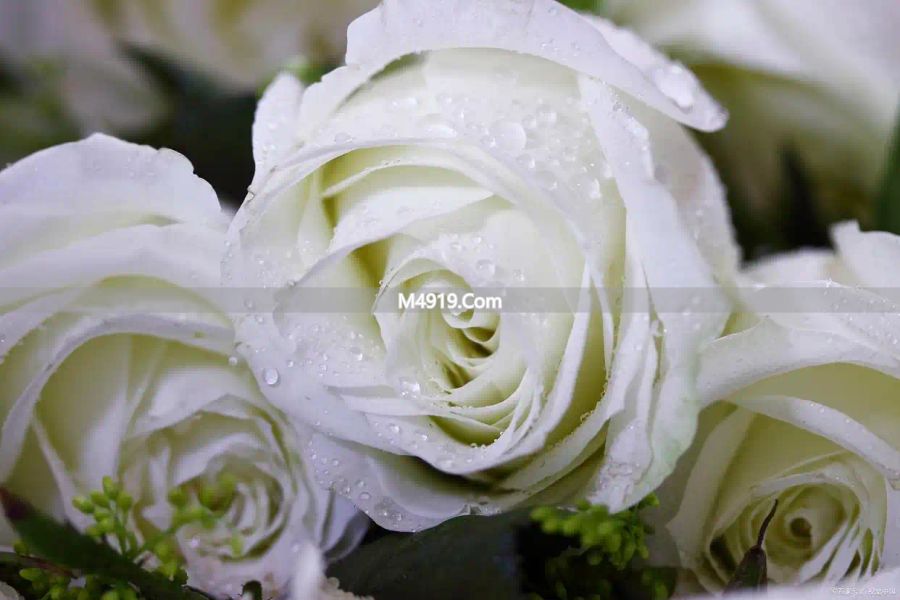 重读小团圆：离开错的人，是最顶级的清醒