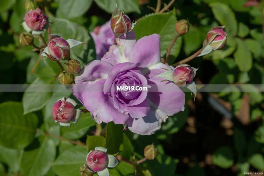 重读小团圆：离开错的人，是最顶级的清醒