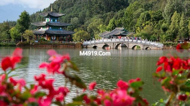 丽江春天怎么玩？喝茶赏花买竹篮，本地人这样过