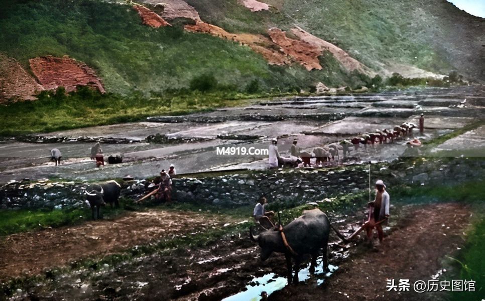 实拍20-30年代的台湾：城市繁华没有高楼，高山族新娘真漂亮_实拍20-30年代的台湾：城市繁华没有高楼，高山族新娘真漂亮_