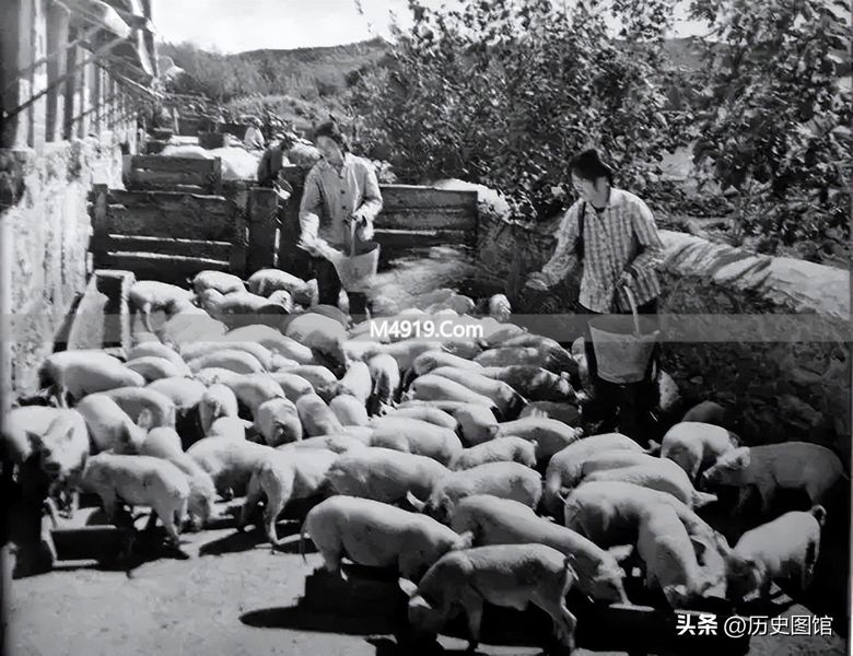 _黑龙江生产建设兵团撤销往事_黑龙江兵团战士