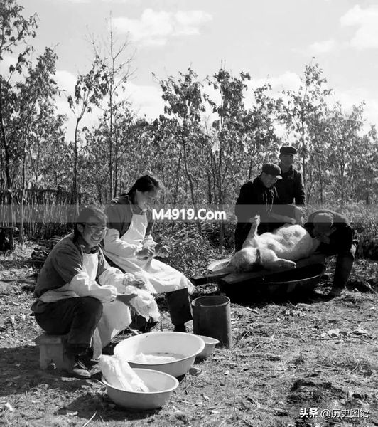 _黑龙江生产建设兵团撤销往事_黑龙江兵团战士
