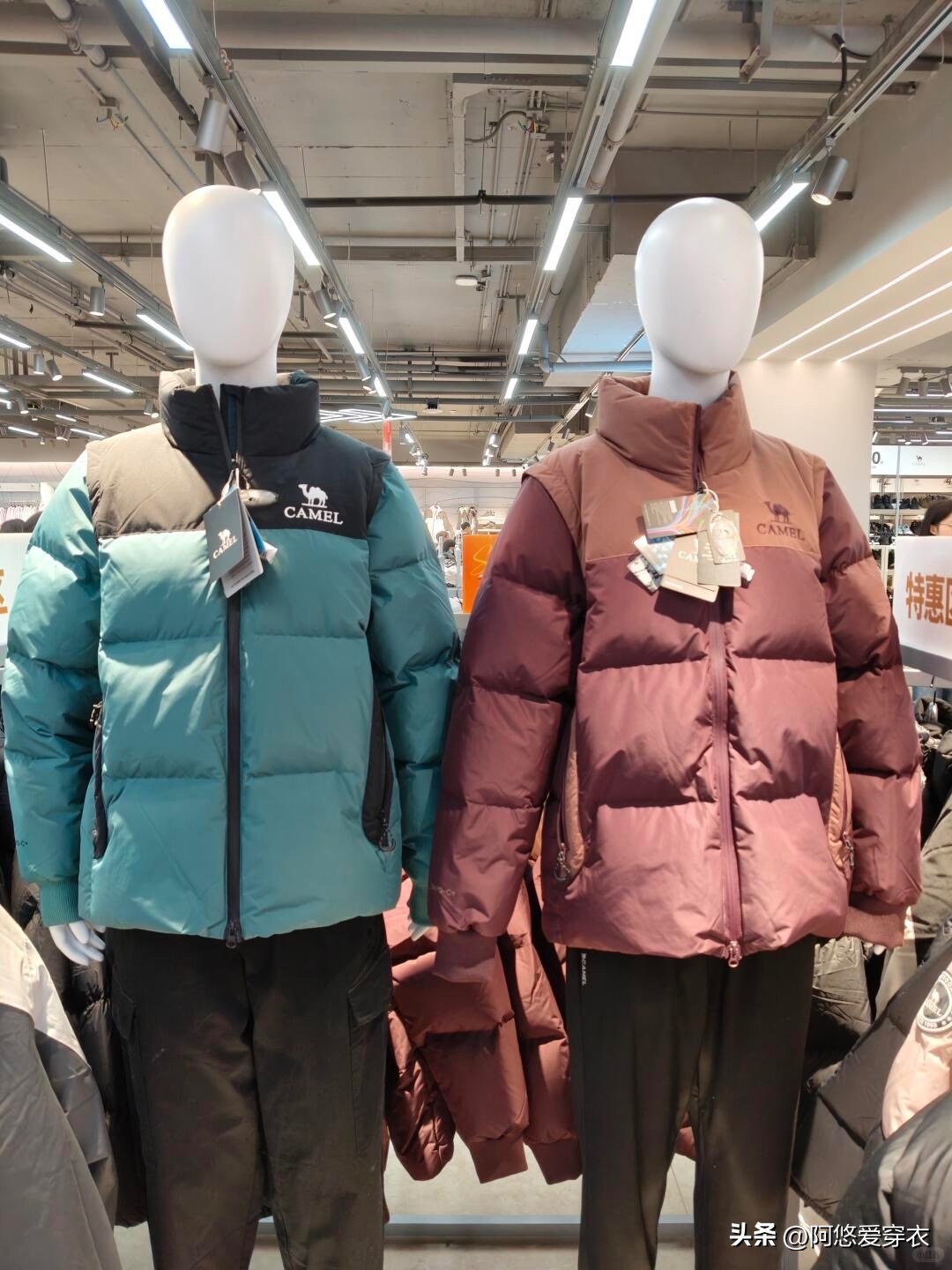 去杭州才发现：凯乐石火了，满大街都在穿，时髦洋气不输大牌