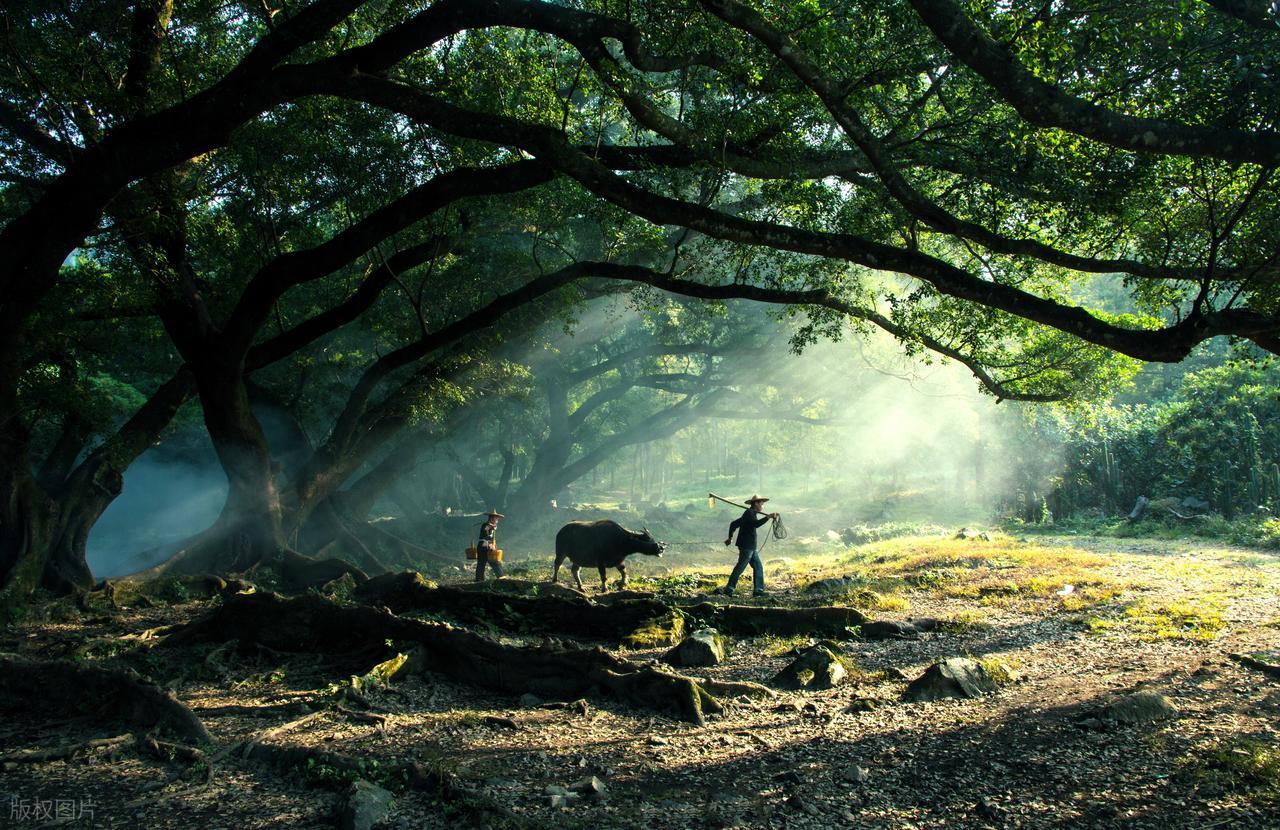 2026属马人注意：这五个地方尽量别去，避开就能顺顺利利