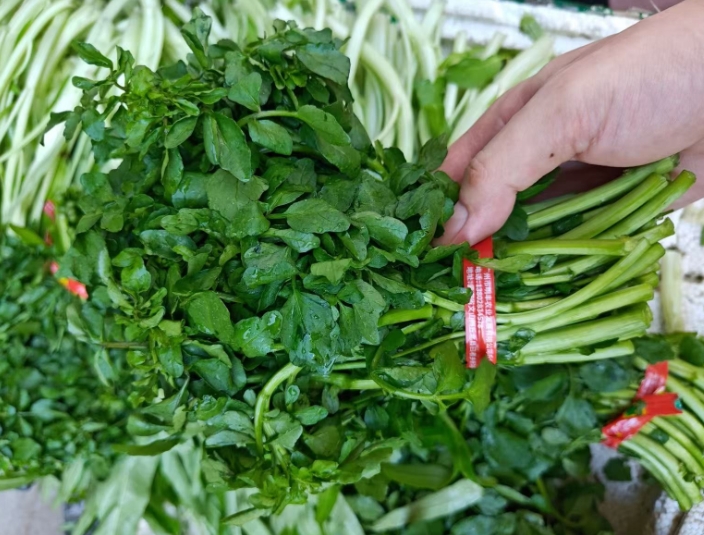 冬至后多吃这菜！养胃助眠、润肺止咳、强免疫，别错过