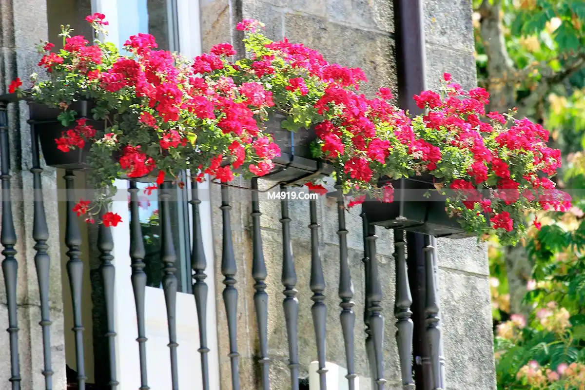 致远方爱人：一生深情不变，你是我心中最美遇见与无奈相思