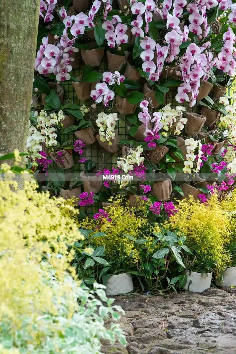 致远方爱人：一生深情不变，你是我心中最美遇见与无奈相思