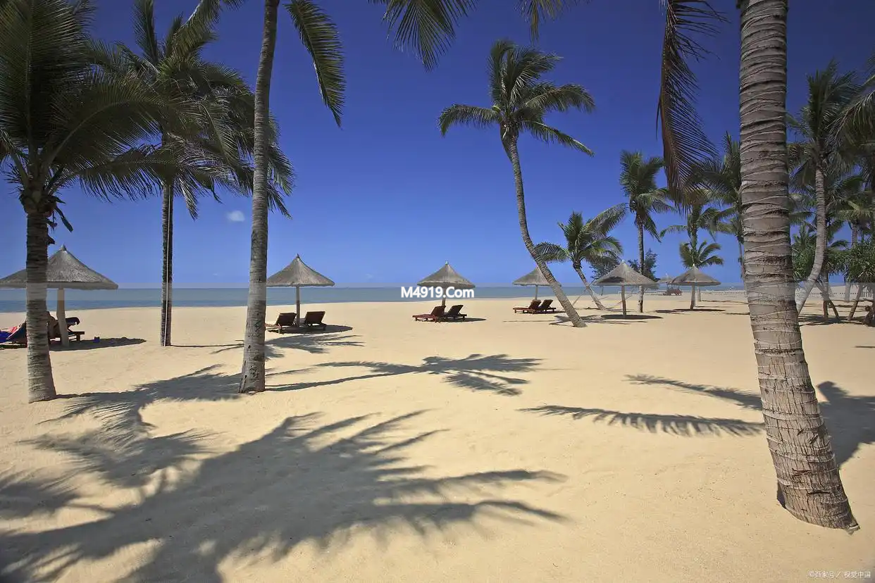 波伏娃和萨特开放关系难效仿，中女面对感情有诸多纠结