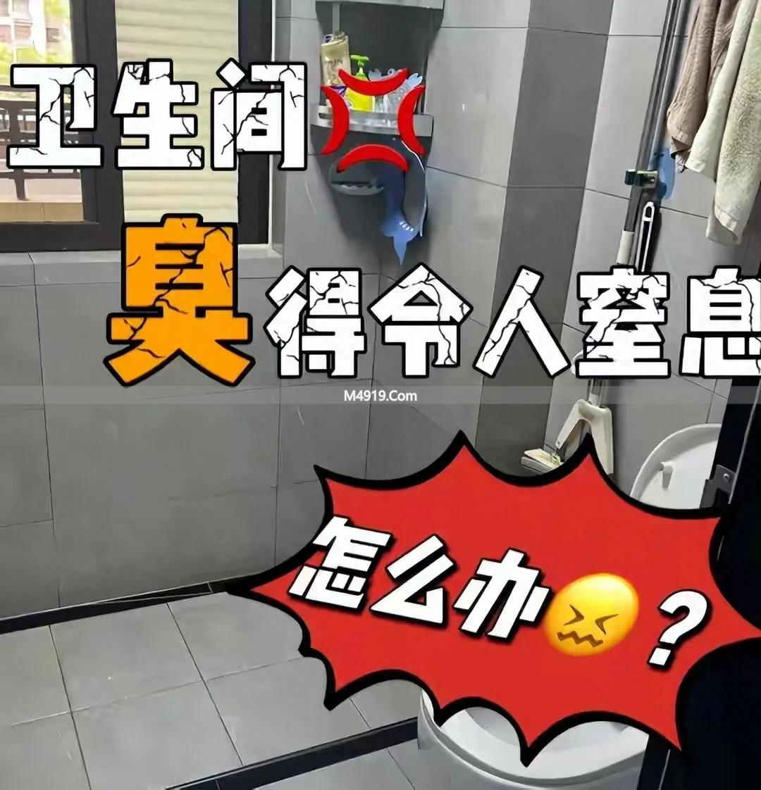 装修家居痛点别花冤枉钱！卫生间臭味原因及解决办法来了