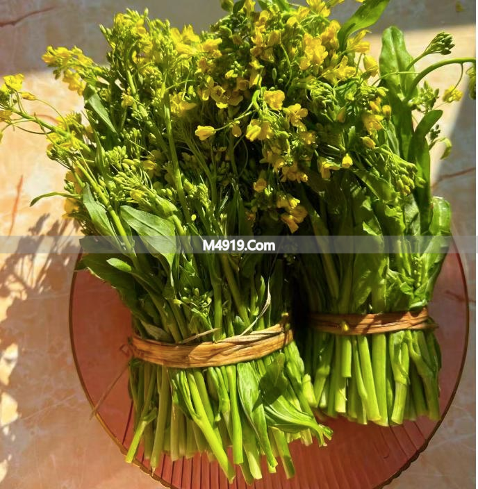 冬天吃这菜心菜苔好处多，简单烹饪超美味，赶紧试试