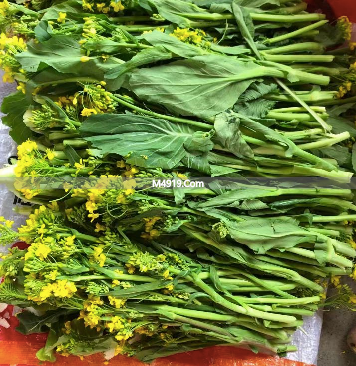 冬天吃这菜心菜苔好处多，简单烹饪超美味，赶紧试试