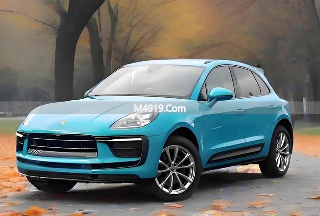 蔚来保时捷_恋爱研究所销量暴跌_