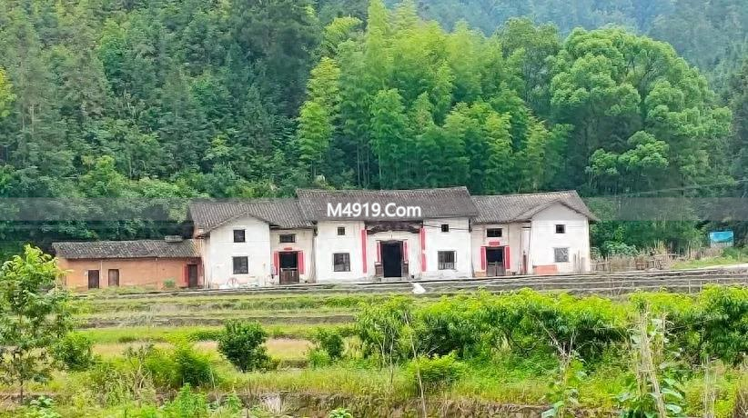 农村大变样，二代三代陷天伦绞杀局，刨猪宴火遍全网