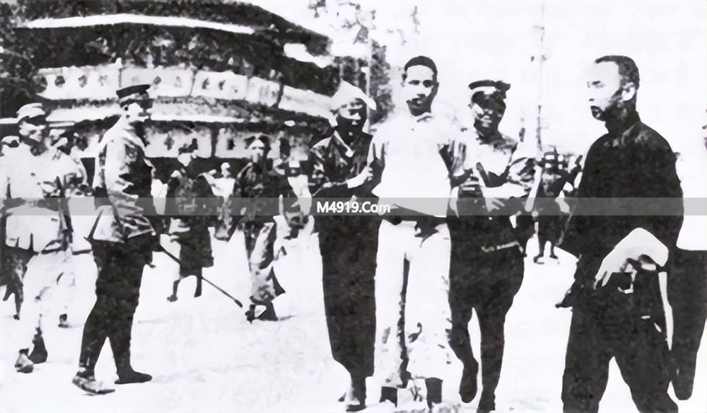 宋庆龄接见_在宋庆龄同志追悼大会上的悼词_