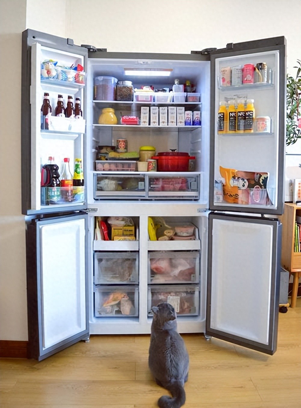 买冰箱牢记这5点不踩坑，都是花钱买的教训