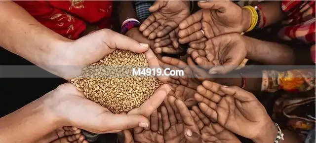 非洲面临粮食危机，中国年轻人凭农业技能获酋长职位