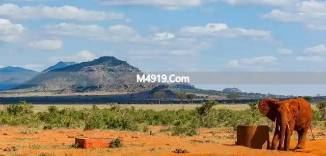 非洲面临粮食危机，中国年轻人凭农业技能获酋长职位