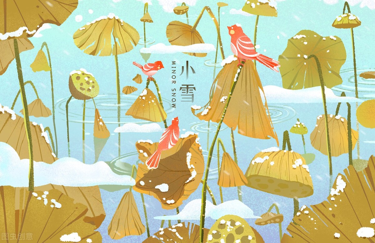 明日小雪，这一宝比补药强！暖身养胃，老人小孩要多吃