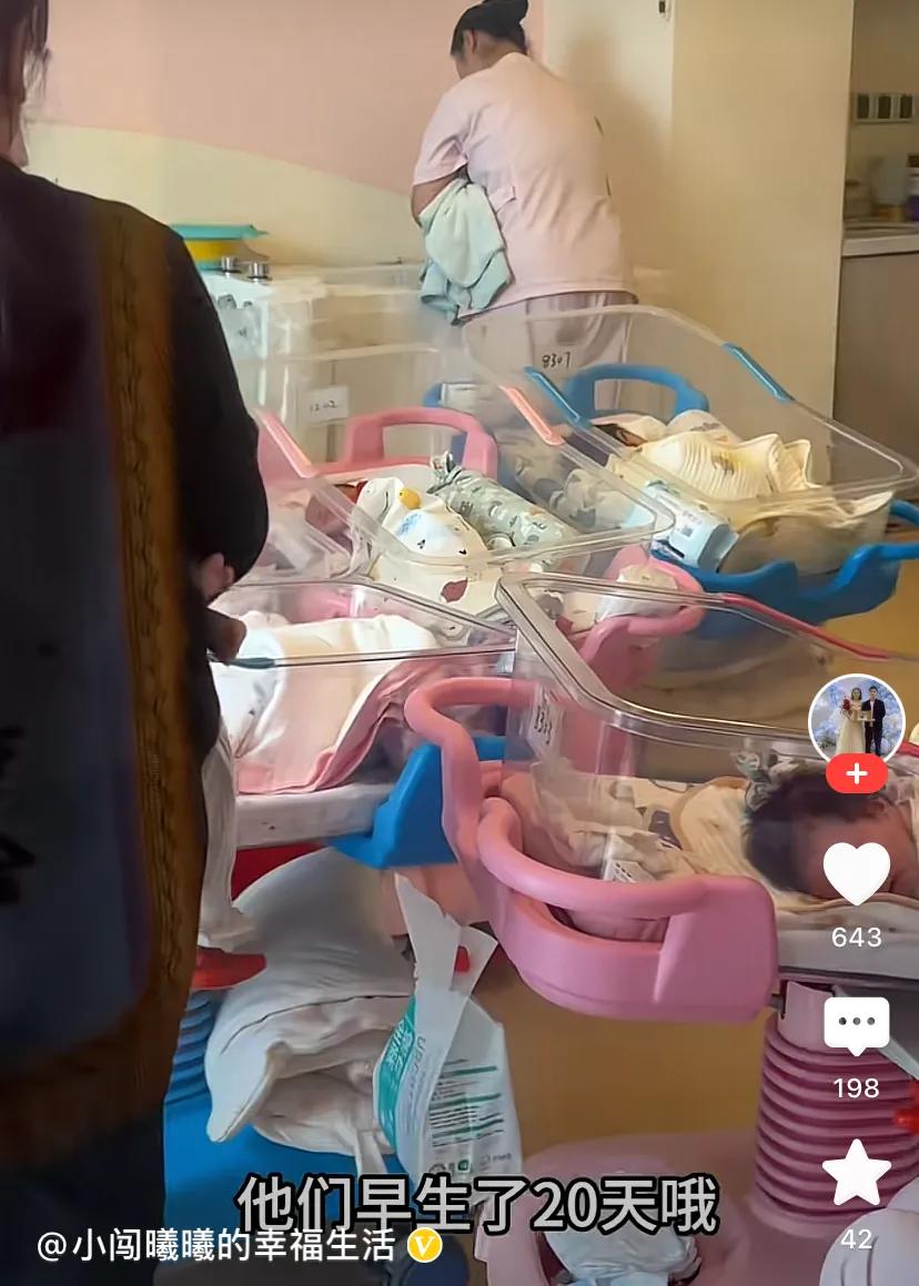 产后住月子中心宝宝集体照顾引热议，网友直呼父母心真大