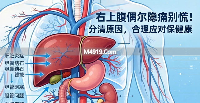 右上腹偶尔隐痛别慌！分清原因，合理应对保健康