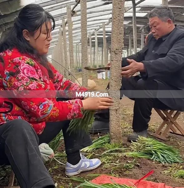 老吕一家：胖吕与父母走得近，直播挣钱其乐融融，小二姐不痛快…__老吕一家：胖吕与父母走得近，直播挣钱其乐融融，小二姐不痛快…