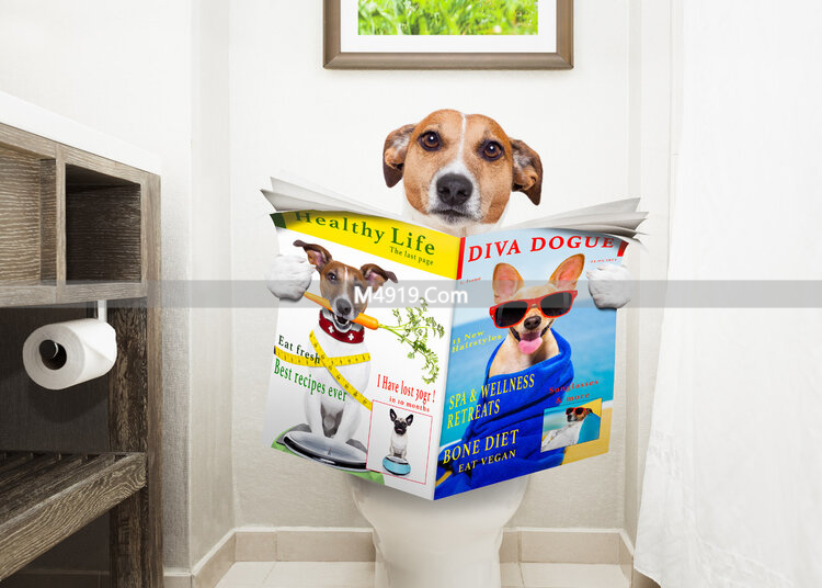 大便稀烂成水状以为是肠癌？别急，先了解正常大便形态