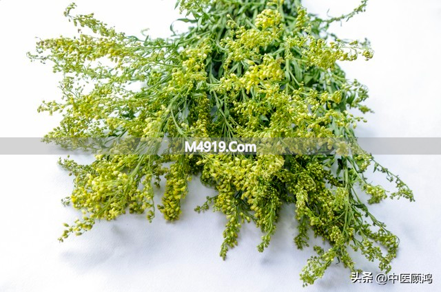 干咳热咳症状全解析，凉燥温燥辨别及对应中医方剂