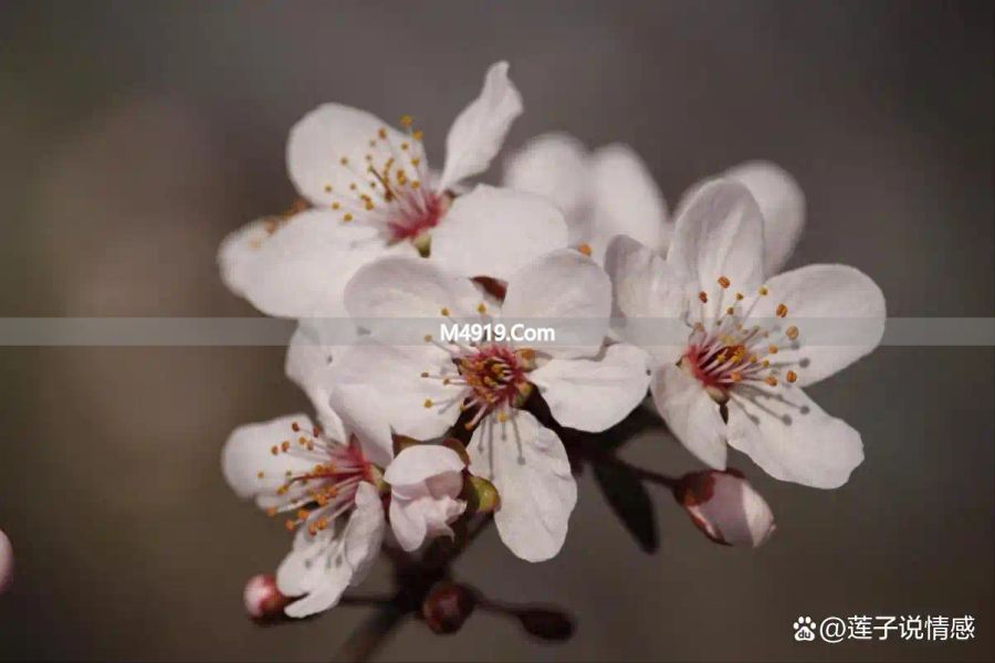 女人想分手了？这3个征兆很明显