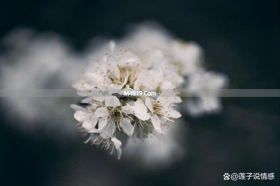 女人想分手了？这3个征兆很明显