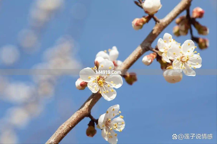 _女人对你，有了以下征兆，说明她想结束关系了_女人对你，有了以下征兆，说明她想结束关系了