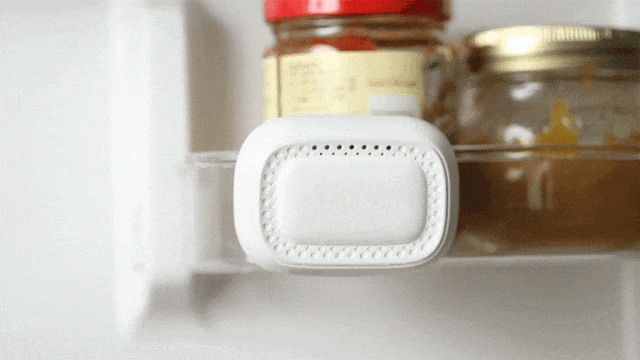 春节将至愁坏了！父母总往冰箱塞东西，剩饭能吃吗？