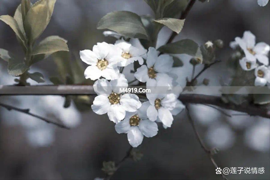 一个中年女人心里有你，才会给你发这些消息，别错过_一个中年女人心里有你，才会给你发这些消息，别错过_