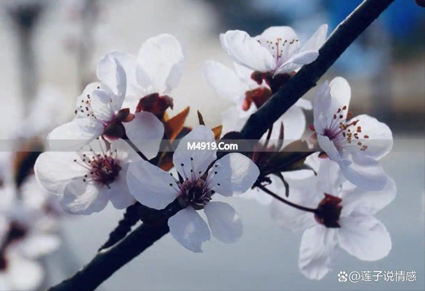 一个中年女人心里有你，才会给你发这些消息，别错过_一个中年女人心里有你，才会给你发这些消息，别错过_