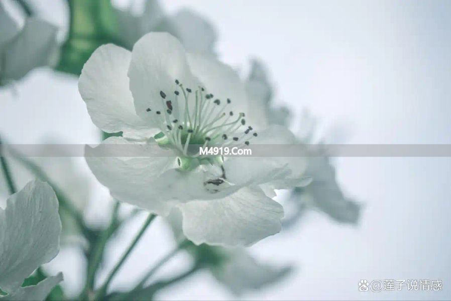 _一个中年女人心里有你，才会给你发这些消息，别错过_一个中年女人心里有你，才会给你发这些消息，别错过