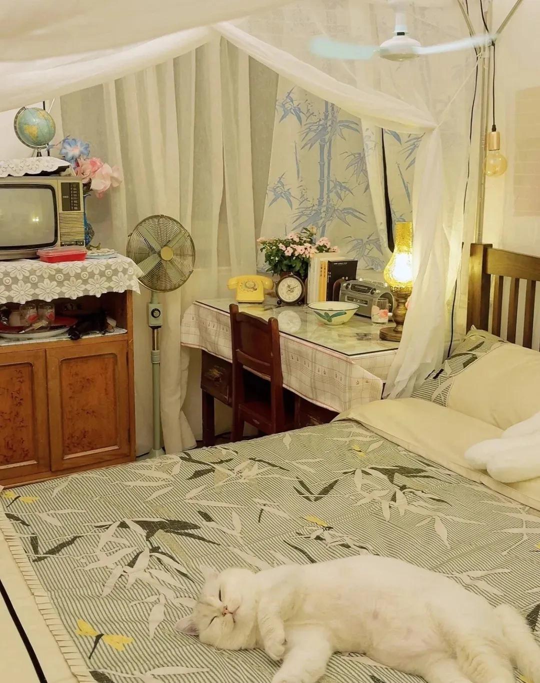 _婆媳间房子_婆婆家的房子